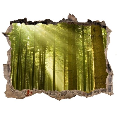 Fototapet un zid spart cu priveliște O pădure de pini