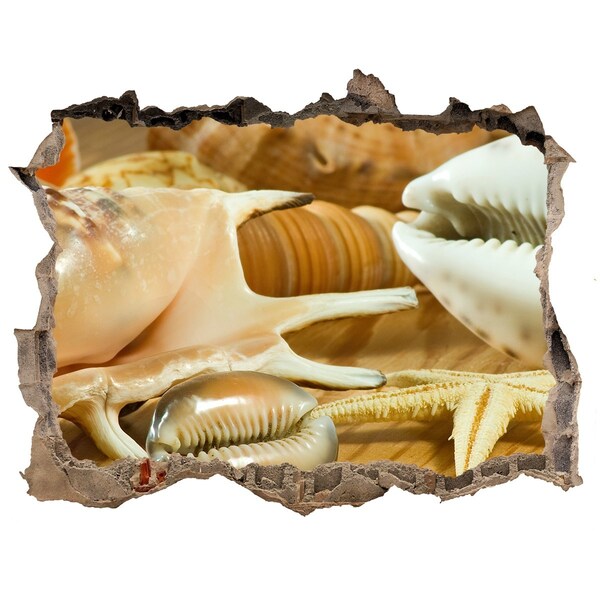 Autocolant gaură 3D Comori marine