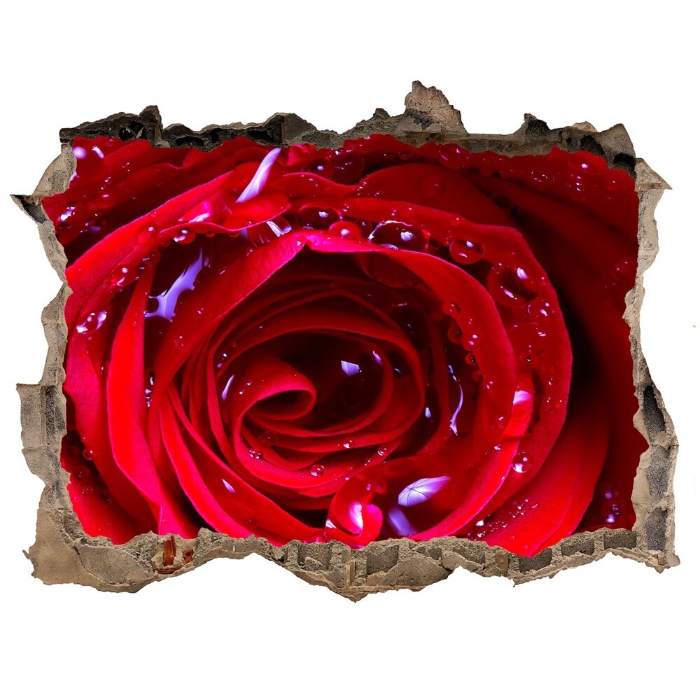 Autocolant 3D gaura cu priveliște Trandafir
