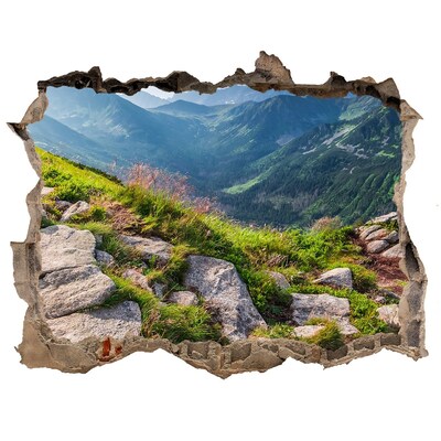 Autocolant de perete gaură 3D Vedere la munte cu vale