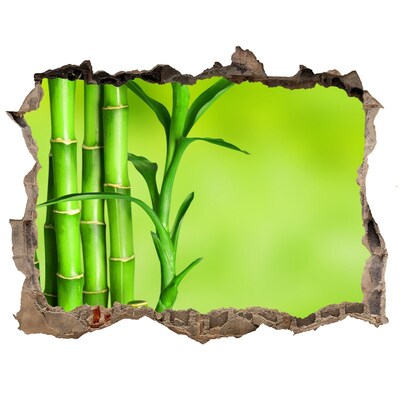 Autocolant de perete gaură 3D Bambus