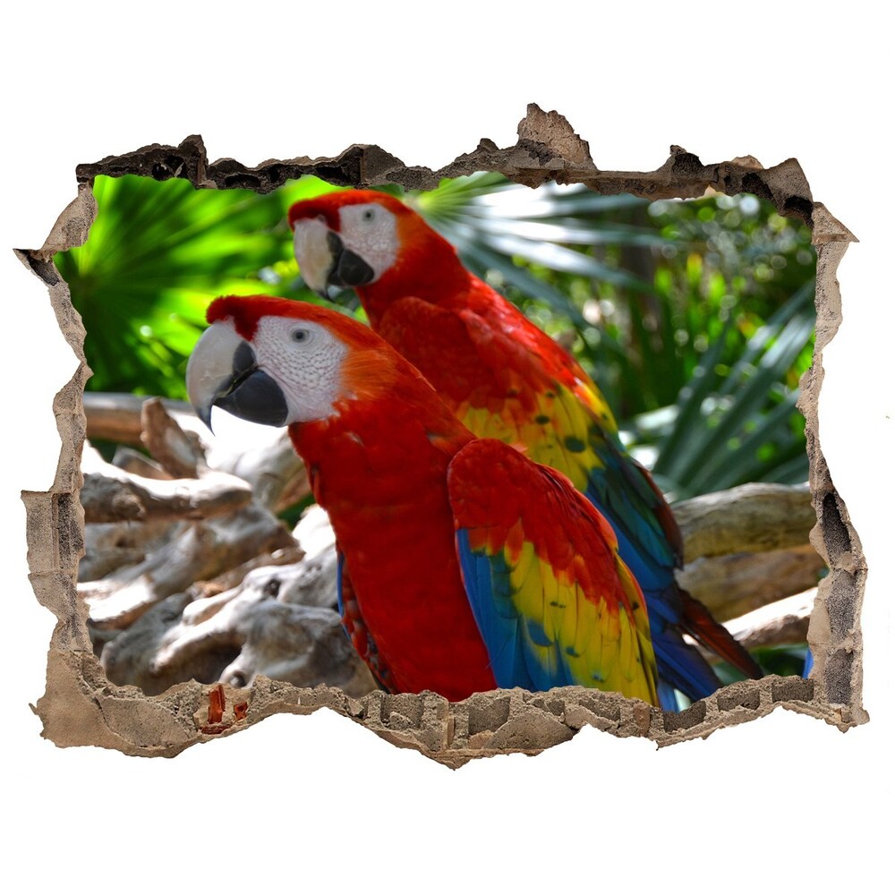 Autocolant autoadeziv gaură Papagali macaws