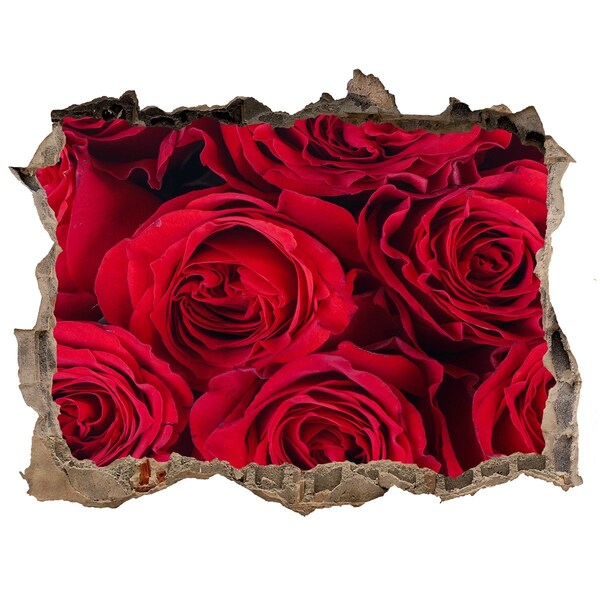 Autocolant autoadeziv gaură Trandafiri într-un zid ruinat