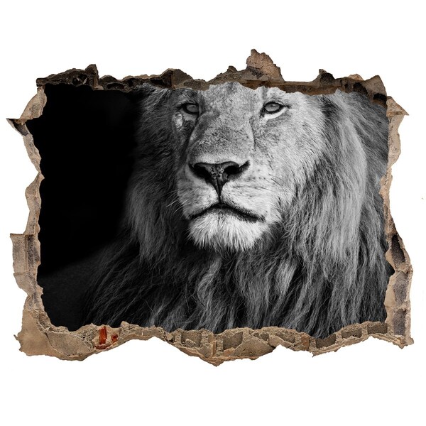 Fototapet 3D gaură în perete Leu într-o gaură în perete