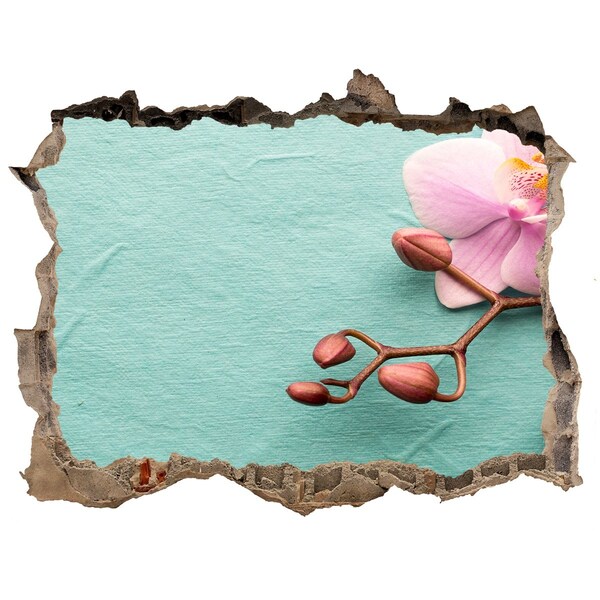 Autocolant autoadeziv gaură Floare de orhidee într-un perete deteriorat