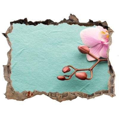 Autocolant autoadeziv gaură Floare de orhidee într-un perete deteriorat