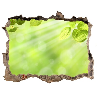 Fototapet un zid spart cu priveliște Paradis verde în spatele zidului