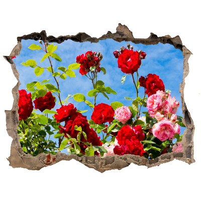 Autocolant de perete gaură 3D Trandafiri sălbatici
