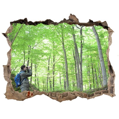 Fototapet un zid spart cu priveliște Ornitolog în pădure