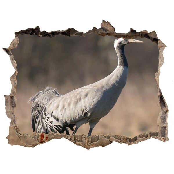 Autocolant 3D gaura cu priveliște Macara în habitatul său natural