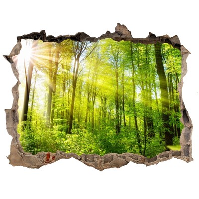 Autocolant gaură 3D Pădure verde cu raze de soare