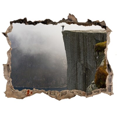 Autocolant de perete gaură 3D Vedere de pe faleza de deasupra fiordului