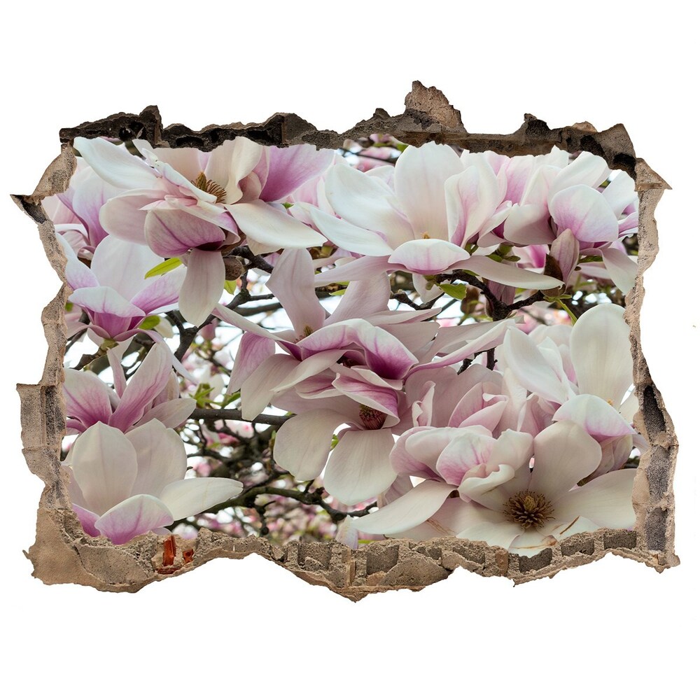 Fototapet 3D gaură în perete Flori magnolia