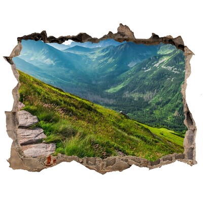 Autocolant 3D gaura cu priveliște Cale în munții tatra