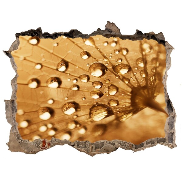 Autocolant 3D gaura cu priveliște Picături pe o frunză