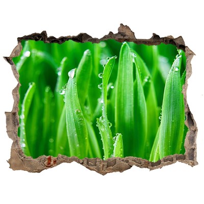 Fototapet un zid spart cu priveliște Pajiște verde cu picături de apă