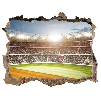Autocolant de perete gaură 3D Stadionul în acțiune