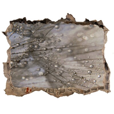 Autocolant gaură 3D Picături de apă pe sticlă