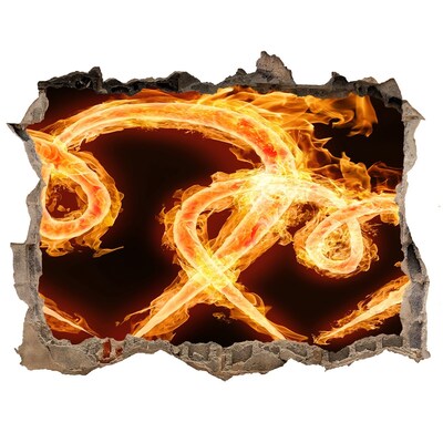 Autocolant de perete gaură 3D Șerpi arzând în foc
