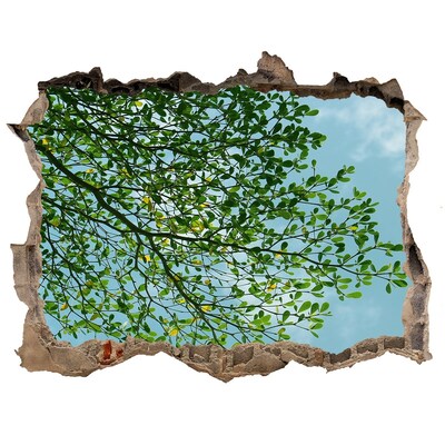 Autocolant autoadeziv gaură Frunze verzi sub un cer albastru