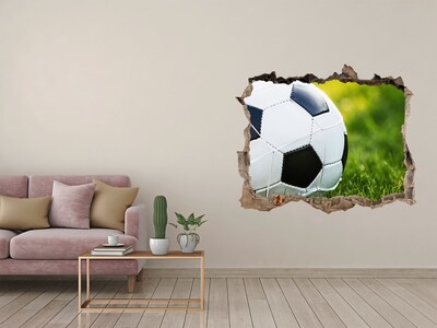 Fototapet 3D gaură în perete Fotbal pe teren