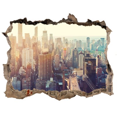 Autocolant gaură 3D New york pasăre de zbor