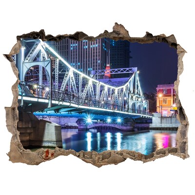 Fototapet un zid spart cu priveliște Shanghai pod