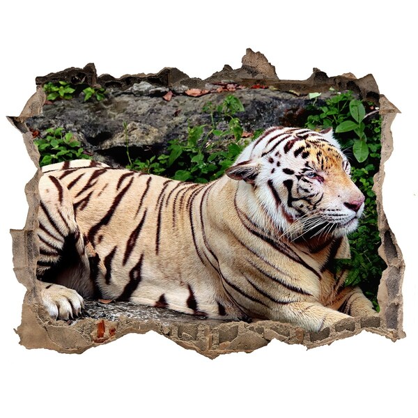Fototapet un zid spart cu priveliște Tiger pe stâncă