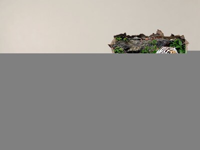 Fototapet un zid spart cu priveliște Tigru în habitatul său natural