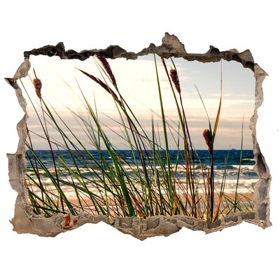 Autocolant gaură 3D Dune de coastă