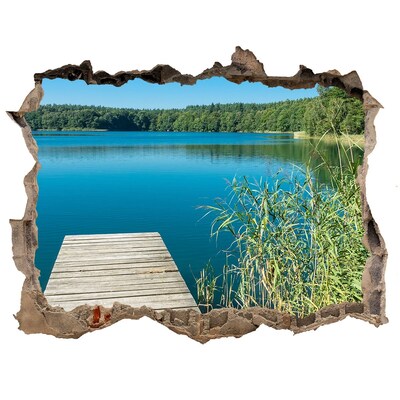 Autocolant de perete gaură 3D Lacul din pădure