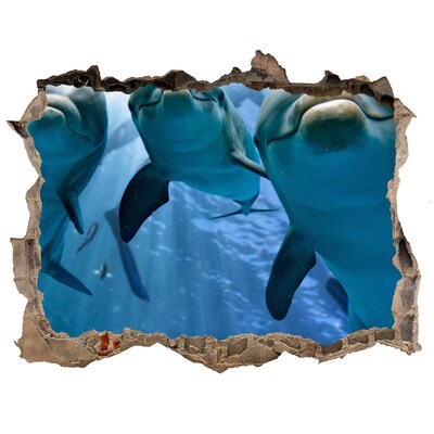 Fototapet 3D gaură în perete Trei delfini