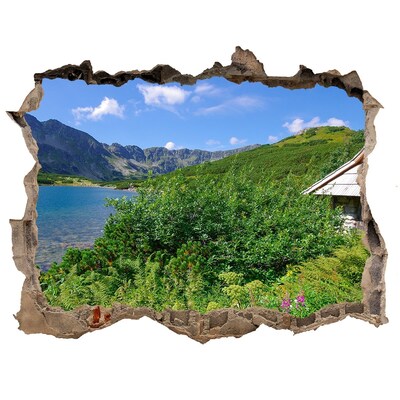 Fototapet 3D gaură în perete Cabană în munții tatra
