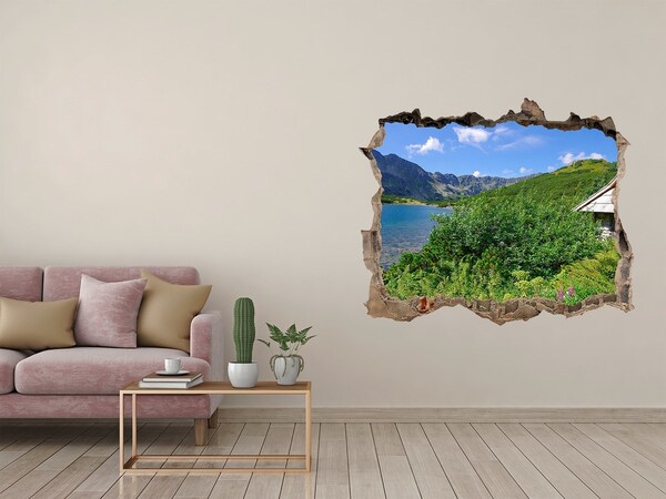 Fototapet 3D gaură în perete Cabană în munții tatra