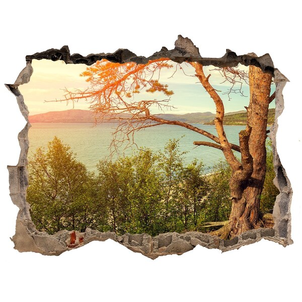 Autocolant gaură 3D Lac scandinavia