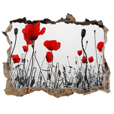 Fototapet 3D gaură în perete Flori în ruine