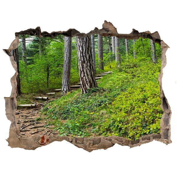 Autocolant de perete gaură 3D Drum forestier