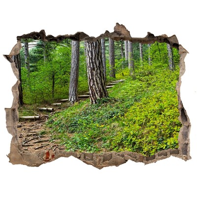 Autocolant de perete gaură 3D Drum forestier