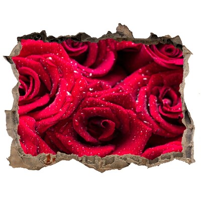 Autocolant 3D gaura cu priveliște Picaturi pe trandafiri