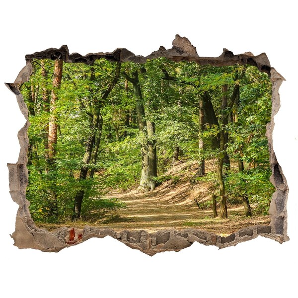 Autocolant gaură 3D Drum forestier