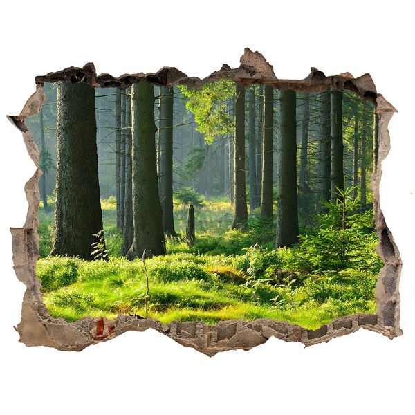 Autocolant gaură 3D Pădure de molid