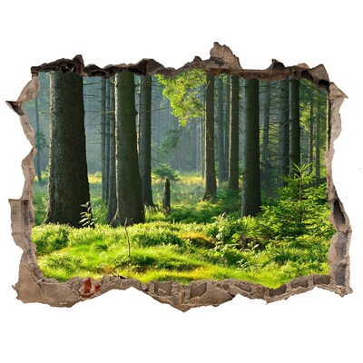 Autocolant gaură 3D Pădure de molid