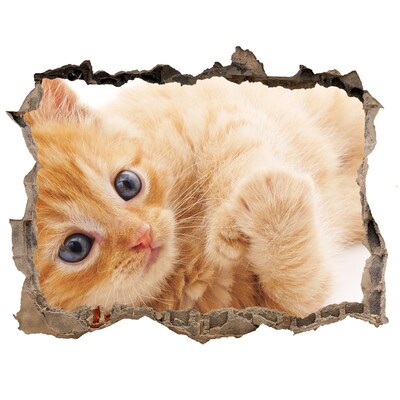 Fototapet un zid spart cu priveliște Pisică într-o gaură în perete