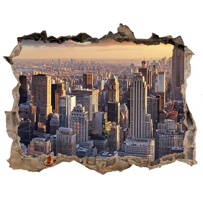 Autocolant de perete gaură 3D New york pasăre de zbor