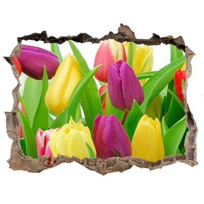 Fototapet 3D gaură în perete Lalele colorate