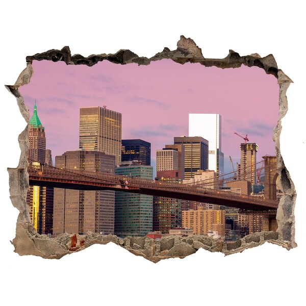 Autocolant 3D gaura cu priveliște Manhattan new york city