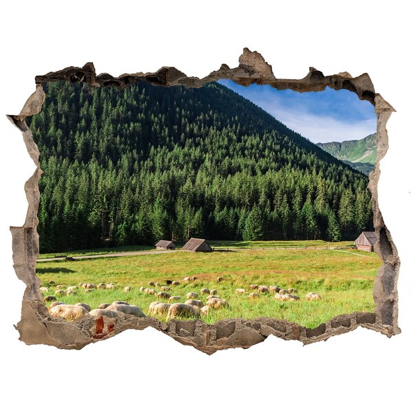 Fototapet 3D gaură în perete Oi în munții tatra