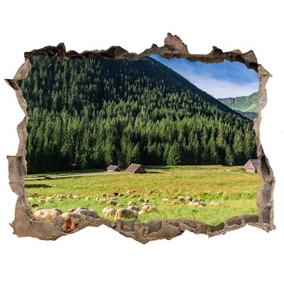 Fototapet 3D gaură în perete Oi în munții tatra