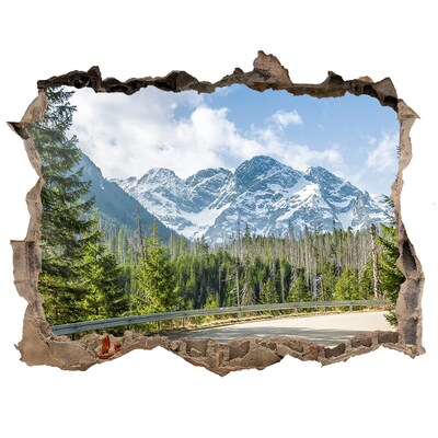 Fototapet un zid spart cu priveliște Road tatry