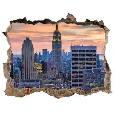 Autocolant gaură 3D Manhattan new york city